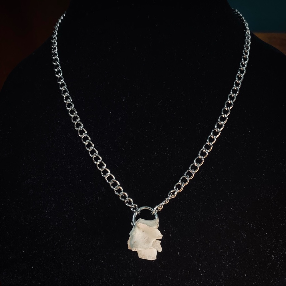 Possum Vertebrae Bone Silver Chain Necklace